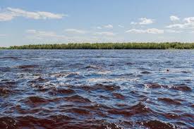 Державна служба України з надзвичайних ситуацій попереджає про підвищення рівнів води